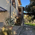 Fonte Galletta *