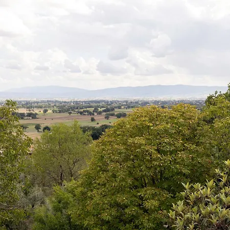 Fonte Galletta Lägenhet